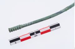 Foto von Bronzerippenkopfnadel (NHMW-PRAE-035771)